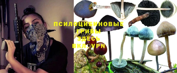 МДПВ Долгопрудный